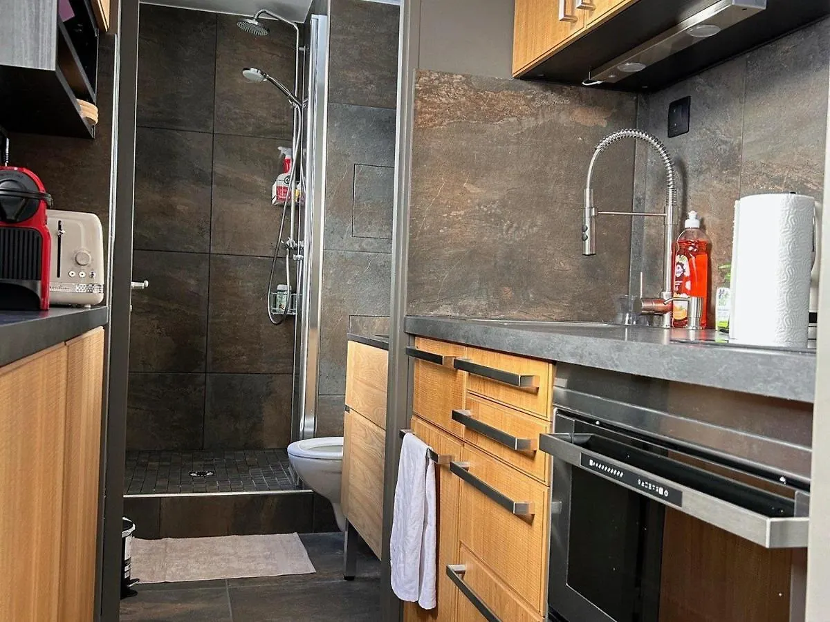 Studio Renove Avec Kitchenette Equipee, Proche Des Pistes Et Commerces, Casiers A Ski - Fr-1-425-207 Arâches 0*,  Fransa